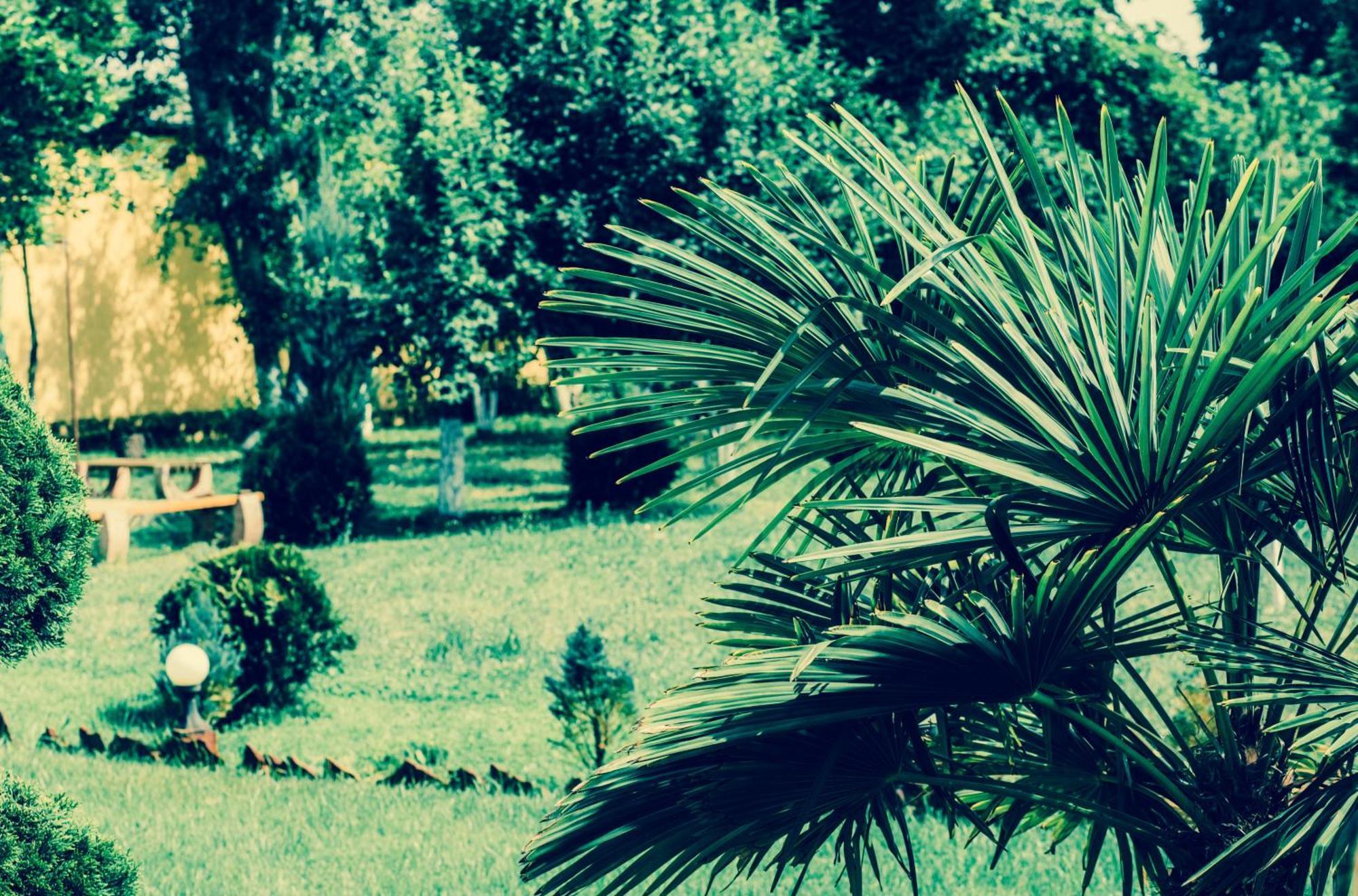 Villa Fenix Berehove  Esterno foto