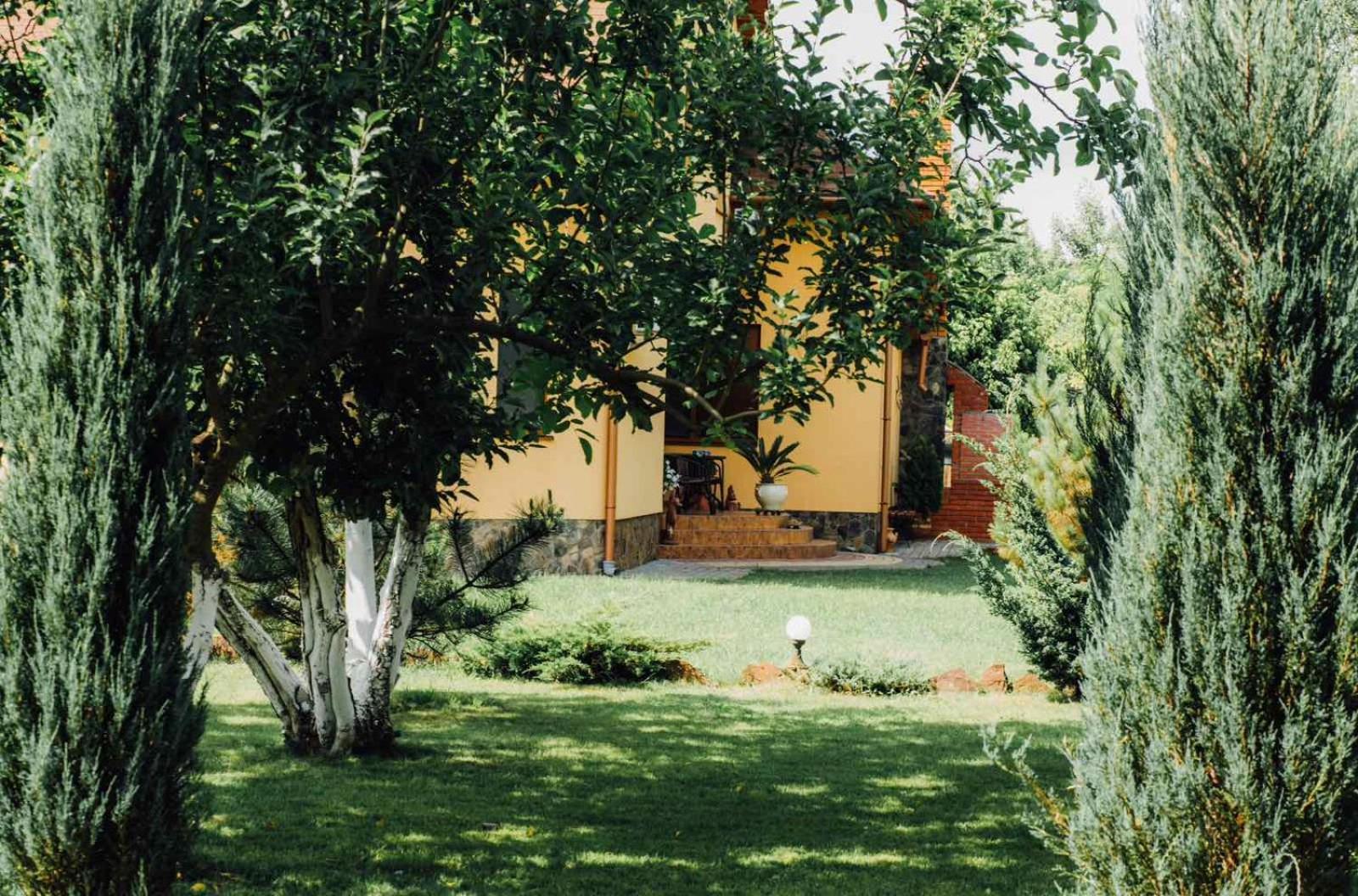 Villa Fenix Berehove  Esterno foto